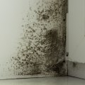 Who is Responsible for Duct Cleaning in Illinois: Landlord or Tenant?