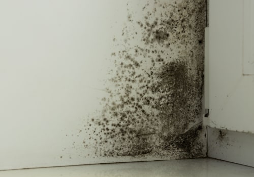 Who is Responsible for Duct Cleaning in Illinois: Landlord or Tenant?